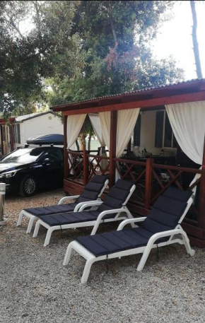 Mobilna kućica 630 Eurohouse